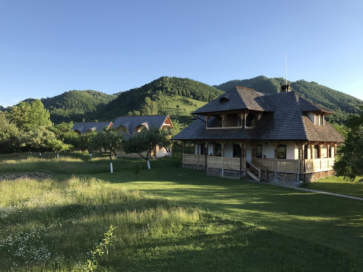 Magnolia Resort Chalets Vişeu de Sus Exterior foto